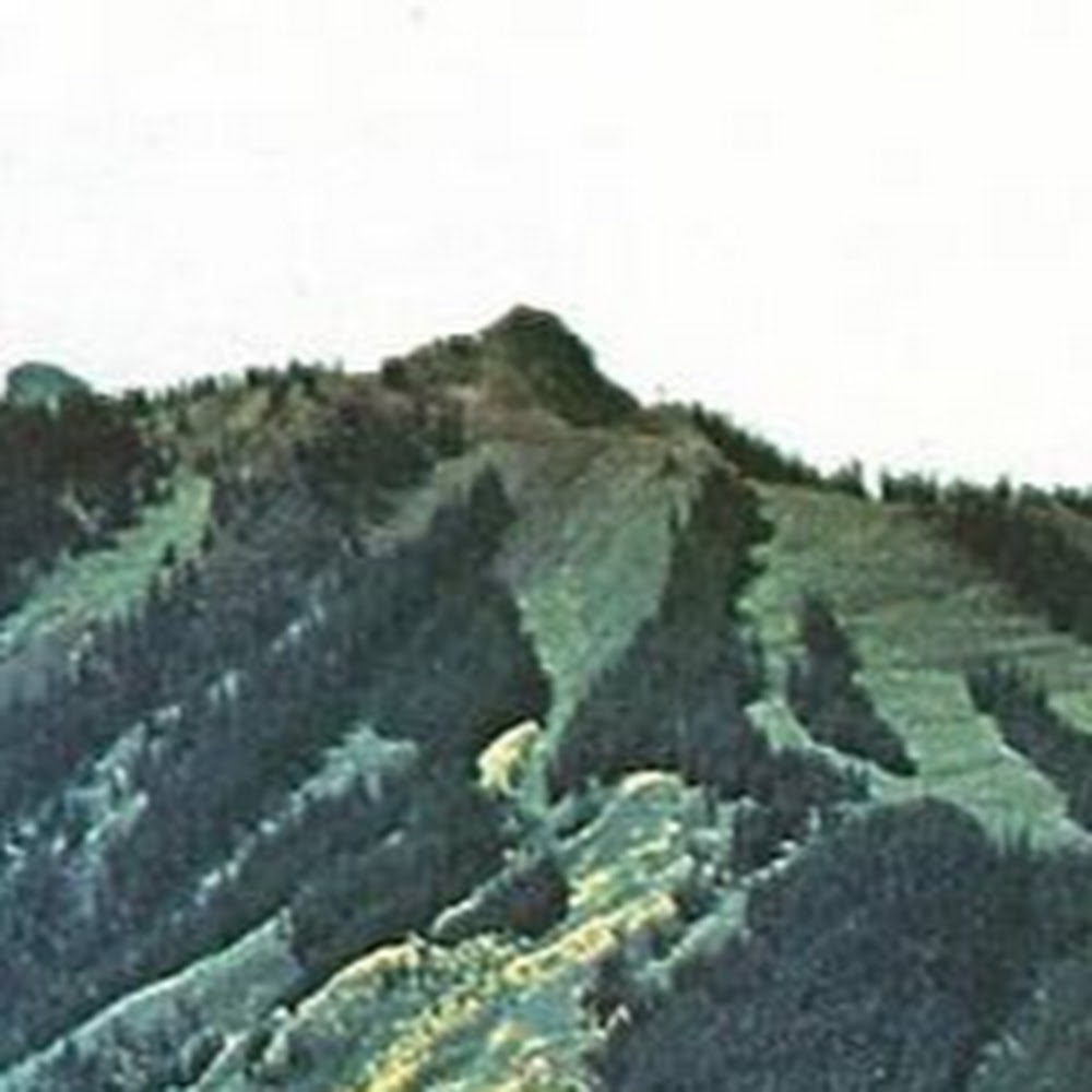 Meet your Posher, Ellora